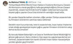 Şanlıurfa Vekili Tanal'dan Cezaevlerindeki Coca-Cola Satışına 'Boykot' Çağrısı!