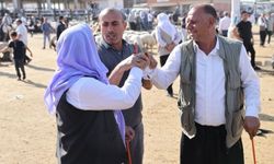 Şanlıurfa’da Kurbanlık Alacaklar Dikkat! İşte Güncel Rakamlar