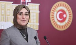 Şanlıurfalı Vekil Yazmacı: “Viranşehir’de 140 bin dekarlık alan suyla buluşuyor”