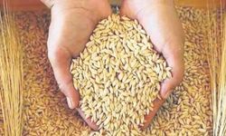 2026 buğday alım fiyatları belli oldu mu, Arpa, buğday ve hububat alımında son durum ne?