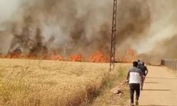 Şanlıurfa İtfaiyesi’nden 24 Saatte 92 Yangına Müdahale!