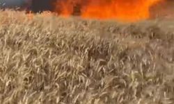 Bursa İnegöl’de 50 Dönümlük Buğday Tarlası Yangında Küle Döndü