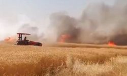 Şanlıurfa Valisi Hasan Şıldak'tan Orman Yangınlarına Karşı Uyarı