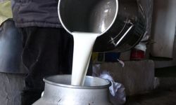 Ulusal Süt Konseyi’nden Yeni Çiğ Süt Fiyatı Açıklaması!