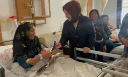 AK Parti Şanlıurfa İl Kadın Kollarından Emzirme Haftası’nda Anlamlı Ziyaret