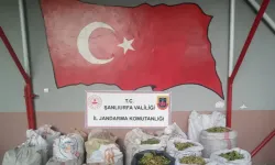 Şanlıurfa’da Ceylanpınar TİGEM Arazisinde Fıstık Hırsızlığına Operasyon!