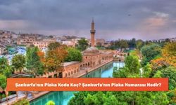 Şanlıurfa'nın Plaka Kodu Kaç? Şanlıurfa'nın Plaka Numarası Nedir?