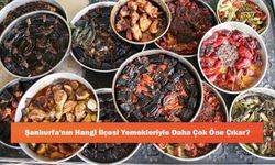 Şanlıurfa'nın Hangi İlçesi Yemekleriyle Daha Çok Öne Çıkar?