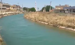 Şanlıurfa’da Kanallarda Yüzme Tehlikesi: Uzmanlar Neden Karşı Çıkıyor?