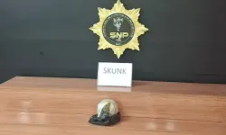 Şanlıurfa’da Yolcu Otobüsünde 1 Kilo Skunk Ele Geçirildi: 1 Tutuklama