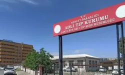 Şanlıurfa Hilvan’da Feci Kaza: Sürücü Hayatını Kaybetti