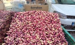 Fıstık Fiyatları Neden Bu Kadar Yüksek? Şanlıurfa'da Fıstıkçılar Konuştu