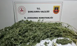 Şanlıurfa Jandarması 330 Gram Kubar Esrar Ele Geçirdi!