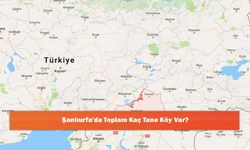 Şanlıurfa'da Toplam Kaç Tane Köy Var?