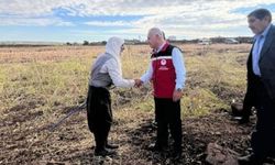 Şanlıurfa’da Çeltik Hasadına Mehmet Salih Söğüt Katıldı!