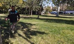 Şanlıurfa Birecik Belediyesi Parklarda Bakım Ve Onarım Yaptı!