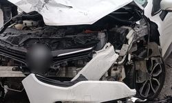 Muş-Bitlis Yolunda Feci Çarpışma!