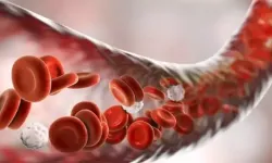 Çocukluk Çağı Kan Hastalıklarında Erken Teşhis Hayati Önemde!