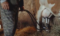 Ekim Ayı Süt Verileri Açıklandı!