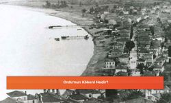 Ordu'nun Kökeni Nedir?