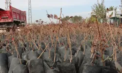 Şanlıurfa Büyükşehir Belediyesi’nden Tarıma Güçlü Katkı!