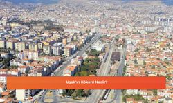 Uşak'ın Kökeni Nedir?