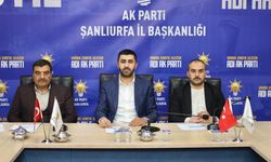 AK Parti Şanlıurfa İl Başkanlığı İnsan Hakları Birimi İstişare Toplantısı Yapıldı