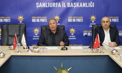 AK Parti Şanlıurfa İl Başkanlığı Siyasi ve Hukuk İşleri Toplantısı Gerçekleştirildi