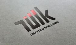 TÜİK: Şubat Ayında Güven Endekslerinde Sektörel Dalgalanma