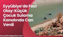 Eyyübiye’de Feci Olay: Küçük Çocuk Sulama Kanalında Can Verdi