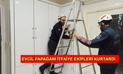 Şanlıurfa'da Vestiyere Sıkışan Papağanı İtfaiye Kurtardı