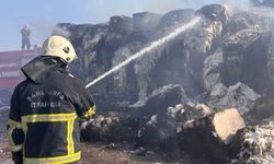 Suruç’ta Pamuk Yüklü Tır Alevlere Teslim Oldu