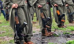 PKK, Abdullah Öcalan'ın "Silah Bırakın" Çağrısına Uygun Harekete Geçeceğini Açıkladı