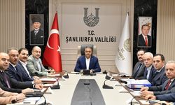 Şanlıurfa’da Sahipsiz Hayvanlar İçin Hızlı Çözüm Planı: