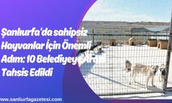 Şanlıurfa'da sahipsiz Hayvanlar İçin Önemli Adım: 10 Belediyeye Arazi Tahsis Edildi