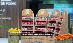 Şanlıurfa’nın Ata Tohumları Tarım Kredi Marketlerinde!