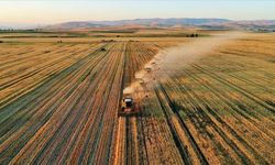 Şanlıurfa'da Yeni Destekleme Modeli ve Üretim Planlaması Toplantısı Düzenlenecek