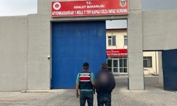 6 Yıl Cezalı Şahıs Jandarmadan Kaçamadı!