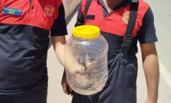 Şanlıurfa’da Şok Olay!