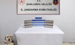Jandarma Göz Açtırmadı: 3 İlçede Kaçak Sigara Ele Geçirildi İşte o İlçeler