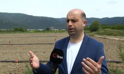 Devlet Tarım Arazilerine El Koyuyor Mu? Uzmanlardan Açıklama!