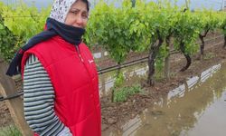 Çiftçilerin Yüzü Güldü: Bahar Yağmurları Toprağı Canlandırdı