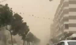 Şanlıurfa Ceylanpınar’da Fırtına Kabusu!