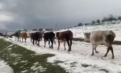 Tokat'ta Dolu Felaketi!