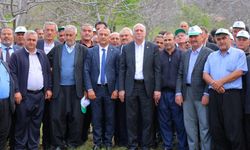İklim Krizi Alarm Veriyor: Meyve Üretiminde Büyük Tehlike