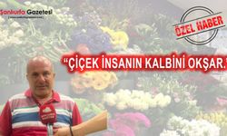 Şanlıurfa'da Çiçekçiler Anneler Günü’ne Hazır: "Çiçek Herkesin Kalbine Giden Yoldur