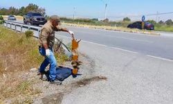 Ekolojik Geçiş Güvenliği Sağlanmazsa, Türkiye’nin Nadir Yaban Hayvanları Tehdit Altında