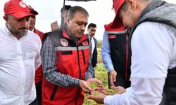 Şanlıurfa Valiliğinden Anız Yangınlarına Karşı Sert Önlemler!