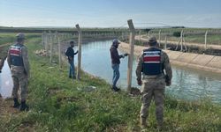 Şanlıurfa'da kanallarda Yüzme Yasaklarına Uymayanlara Ceza Yağdı