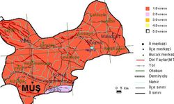 Muş'ta Depreme En Dayanıksız İlçeler Seçildi: Burada Oturmak Cesaret İster!
